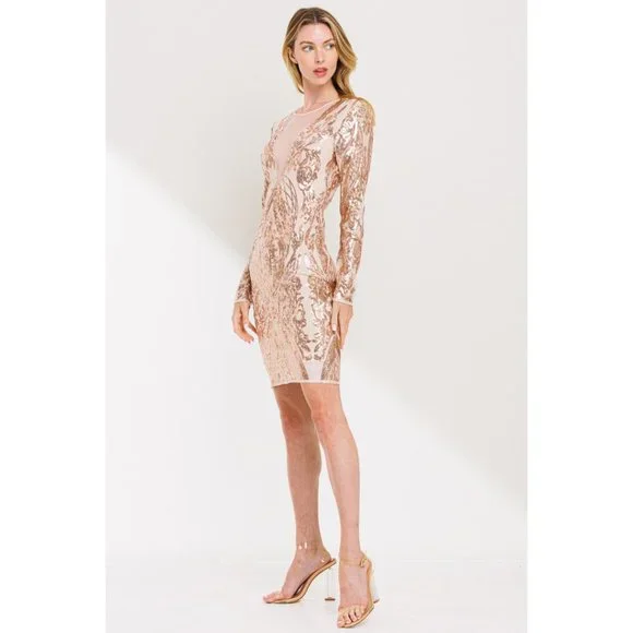 Rose Gold Sequins Sheer Mini Dress - Picture 6 of 7